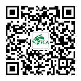 非凡娱乐
